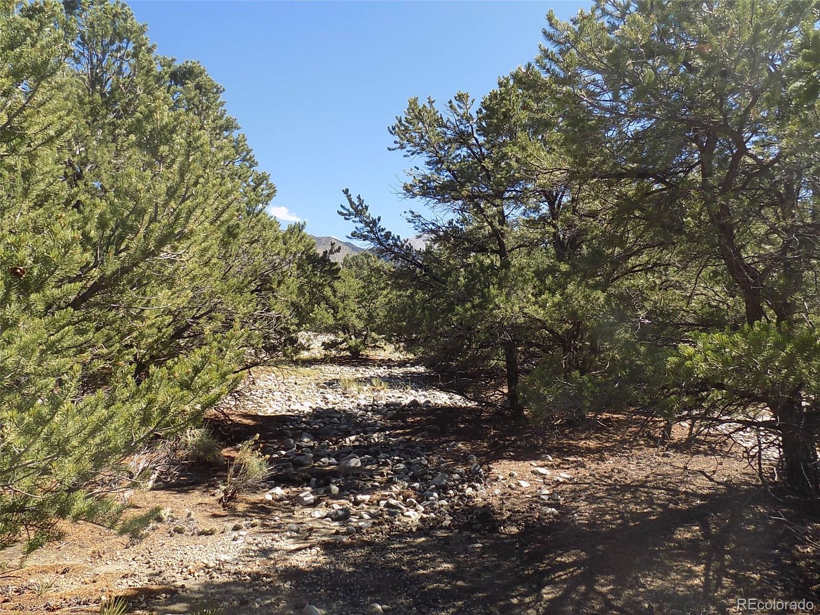 Mill Run Road Mosca, CO 81146 - Photo 9 of 26