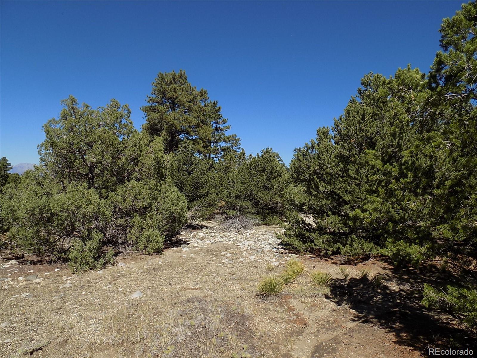 Mill Run Road Mosca, CO 81146 - Photo 10 of 26