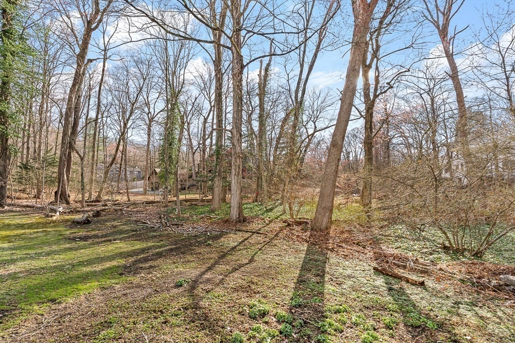 11 Springdale Avenue Wellesley, MA 02481 - Photo 32 of 33