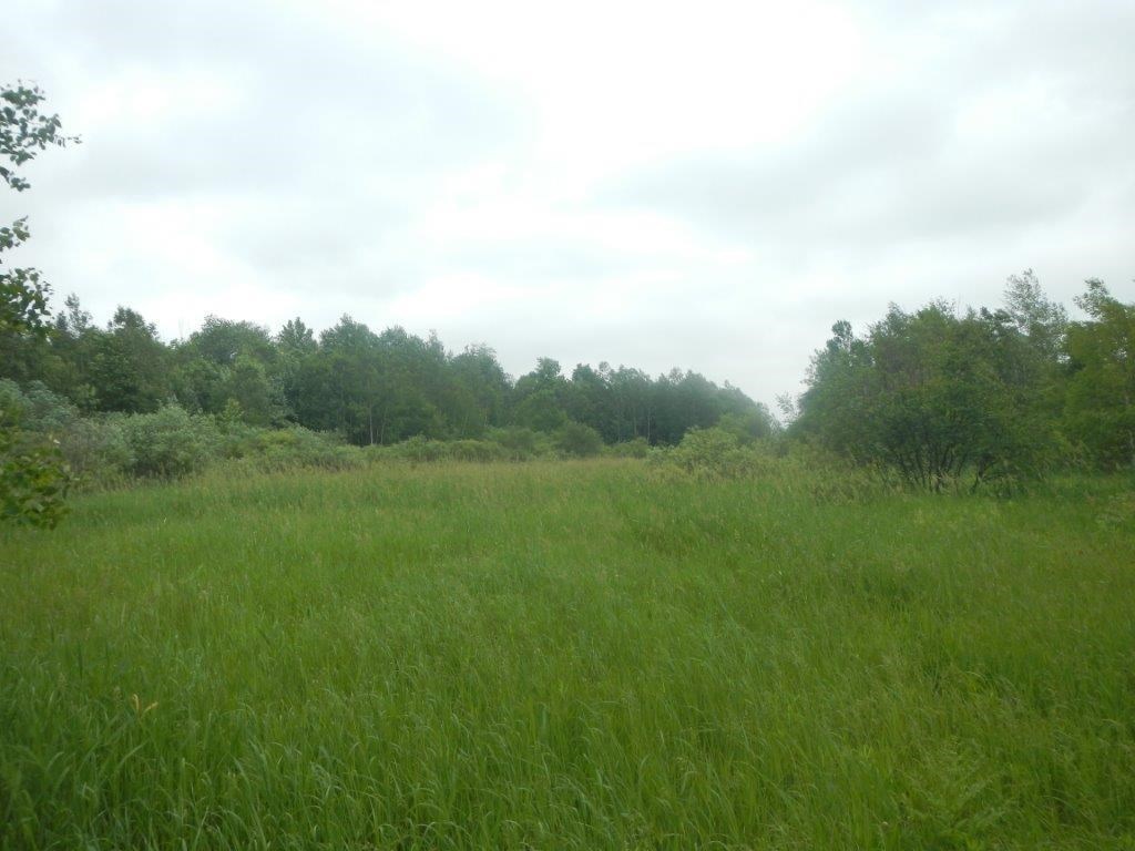 On On Rued Road Gilman, WI 54433 - Photo 1 of 1