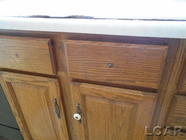 1083 Gady Road Adrian, MI 49221 - Photo 38 of 67