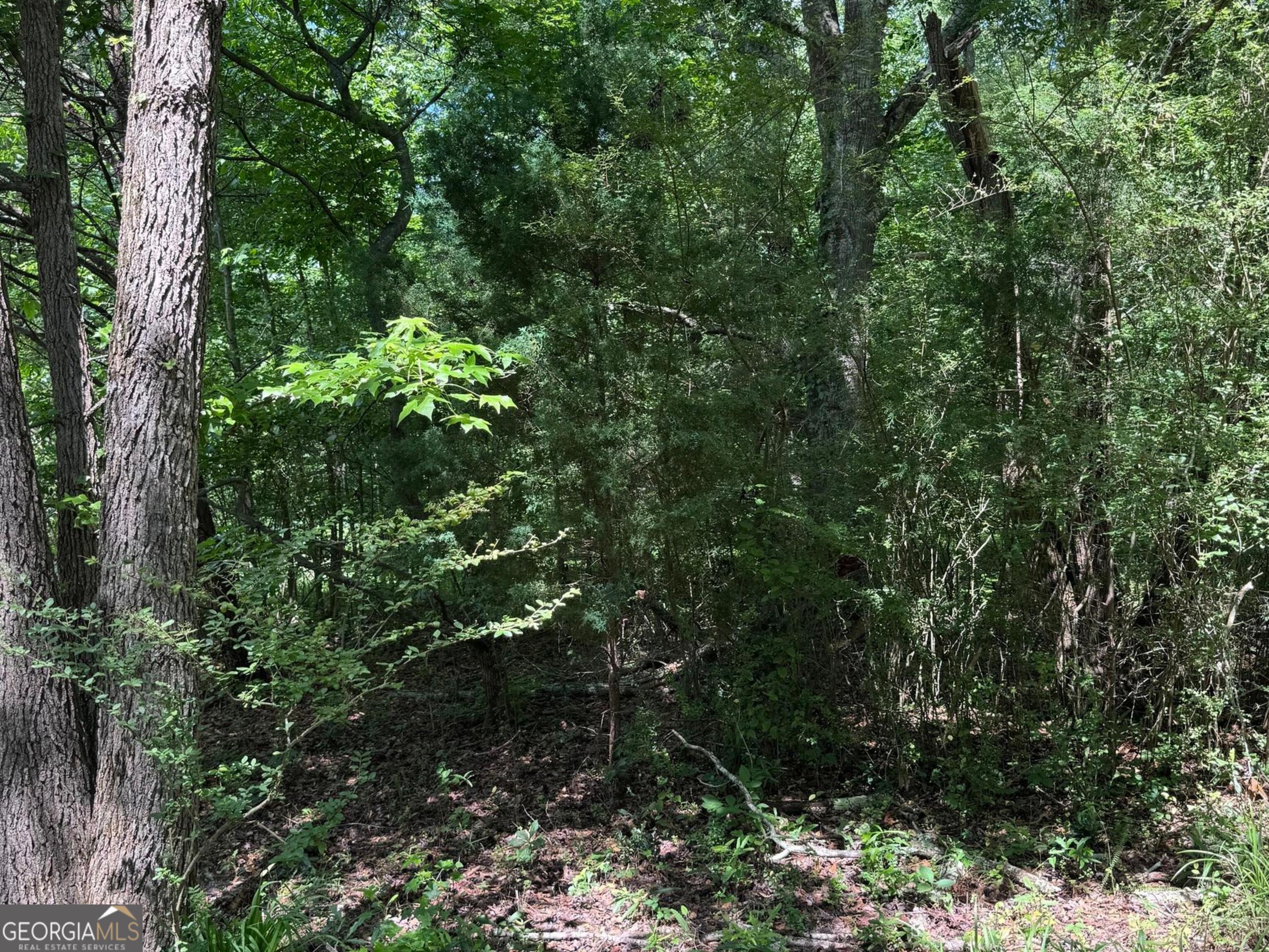 427 Dripping Rock Road Molena, GA 30258 - Photo 15 of 15