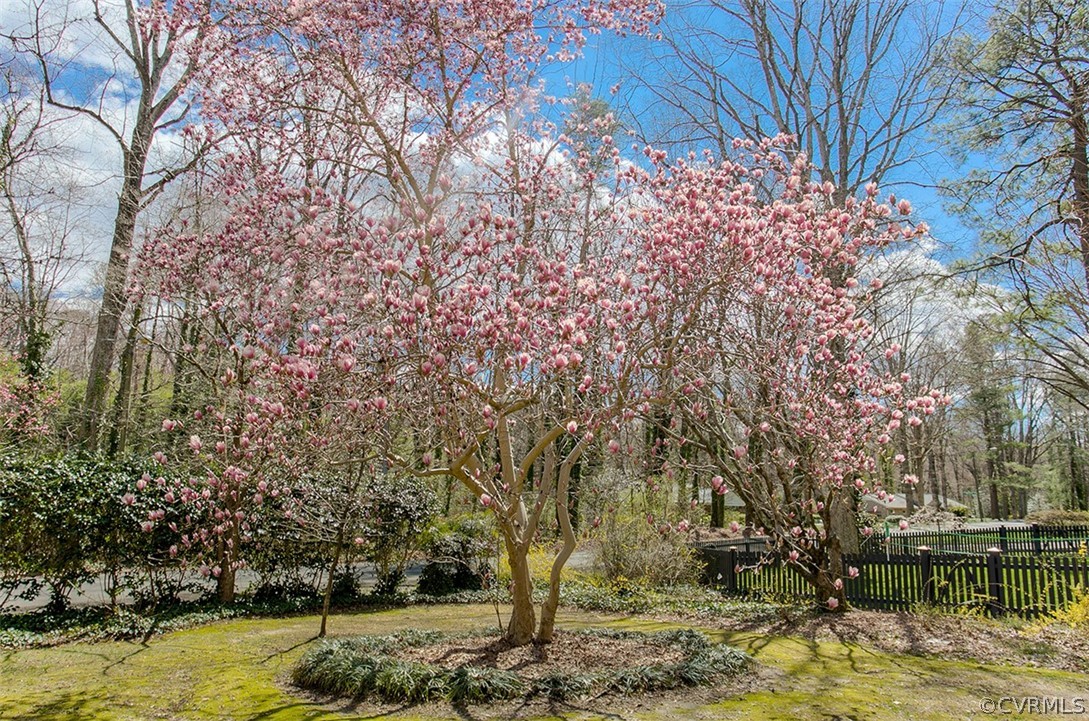 4036 Sherbrook Road Richmond, VA 23235 - Photo 37 of 41 The yard is full of beautiful blooms and landscapi
