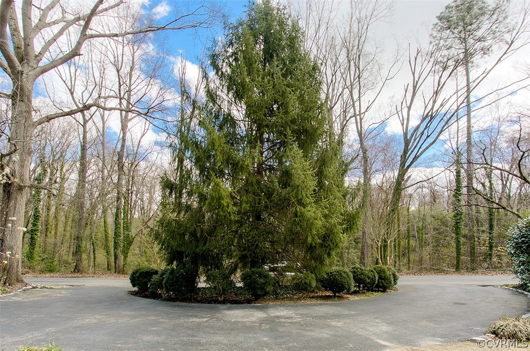 4036 Sherbrook Road Richmond, VA 23235 - Photo 41 of 41 Elegant evergreen adds privacy and beauty to circu