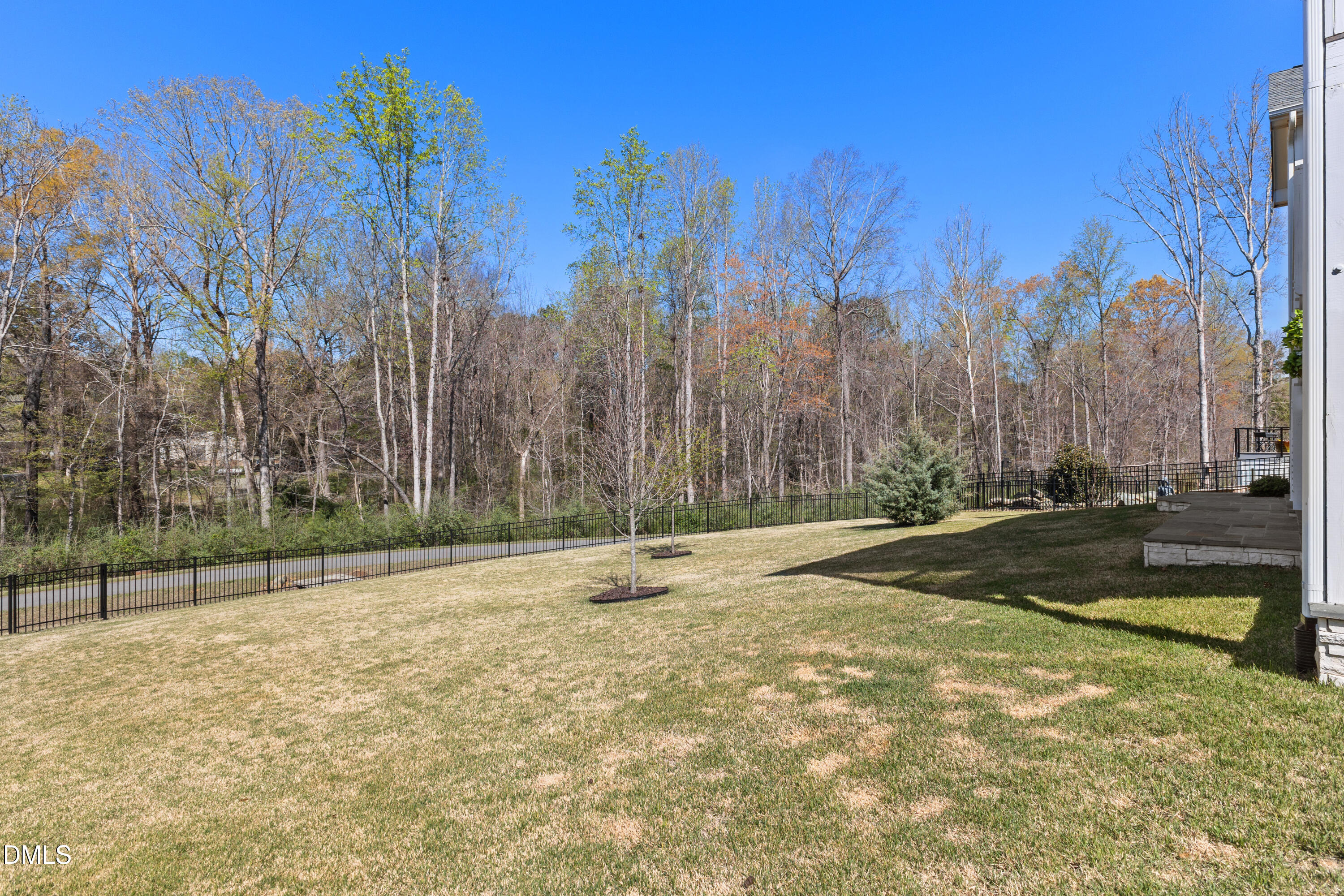 75 Cottage Way Pittsboro, NC 27312 - Photo 43 of 68 a view of a yard with trees in the background