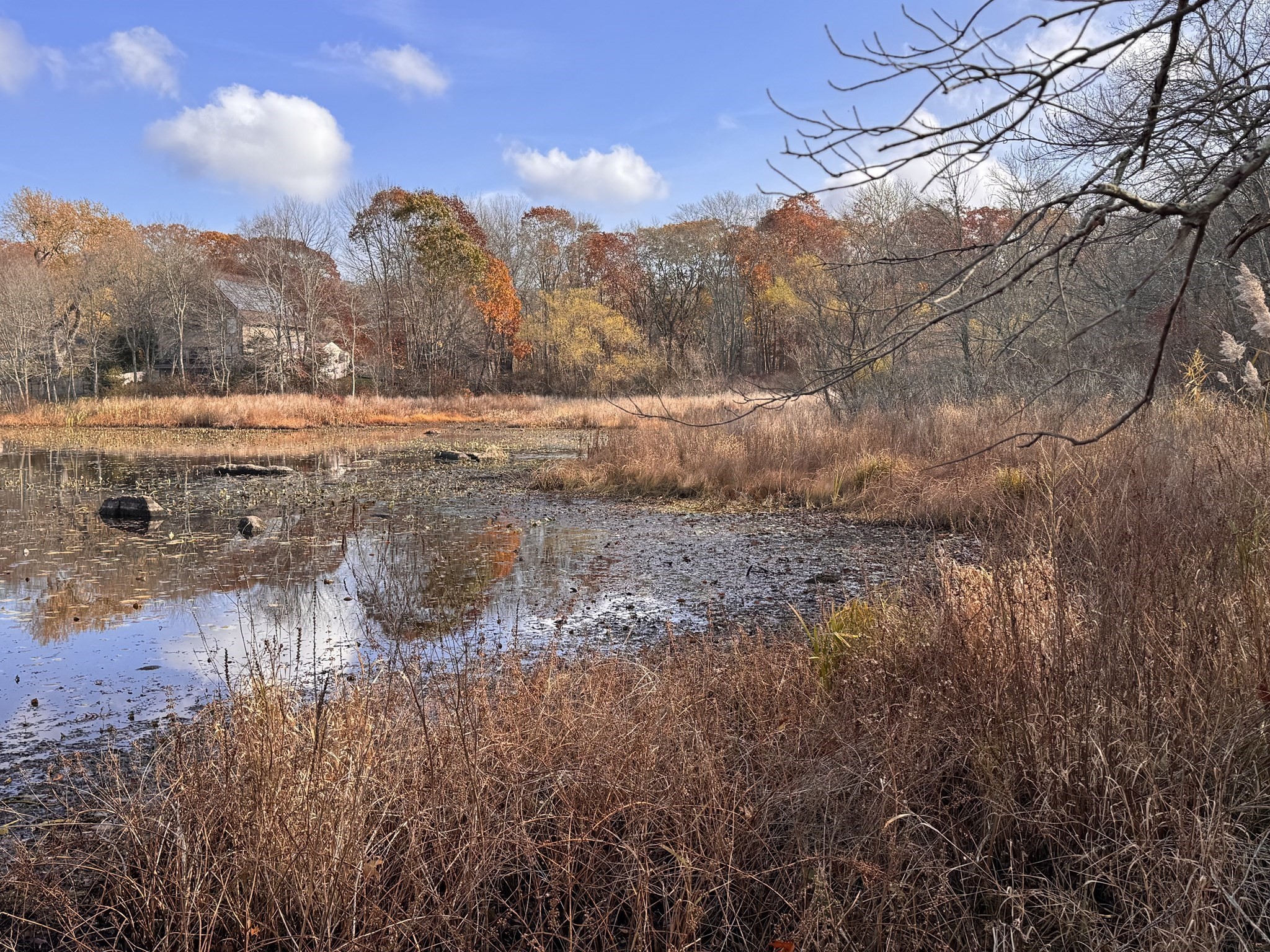 0 Tickle Road Westport, MA 02790 - Photo 1 of 15 Gallery Image 1