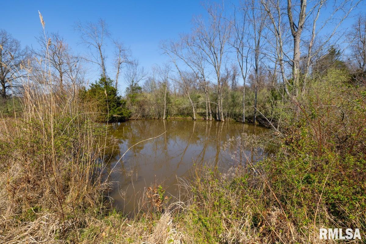 11177 Stotlar Road Marion, IL 62959 - Photo 36 of 57