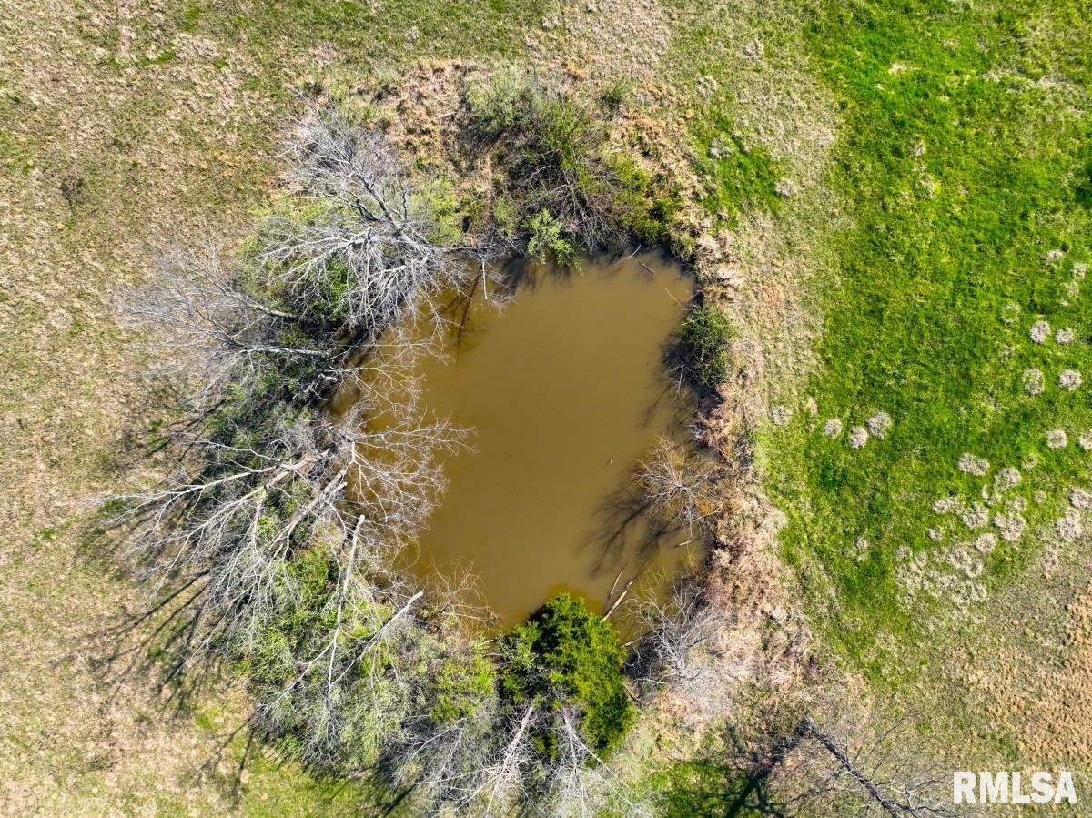 11177 Stotlar Road Marion, IL 62959 - Photo 37 of 57