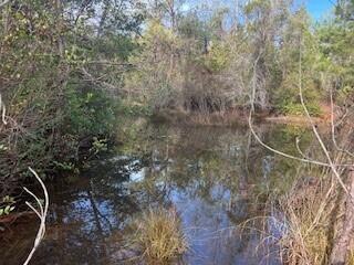 3365 Columbia Highway North Ridge Spring, SC 29129 - Photo 2 of 5
