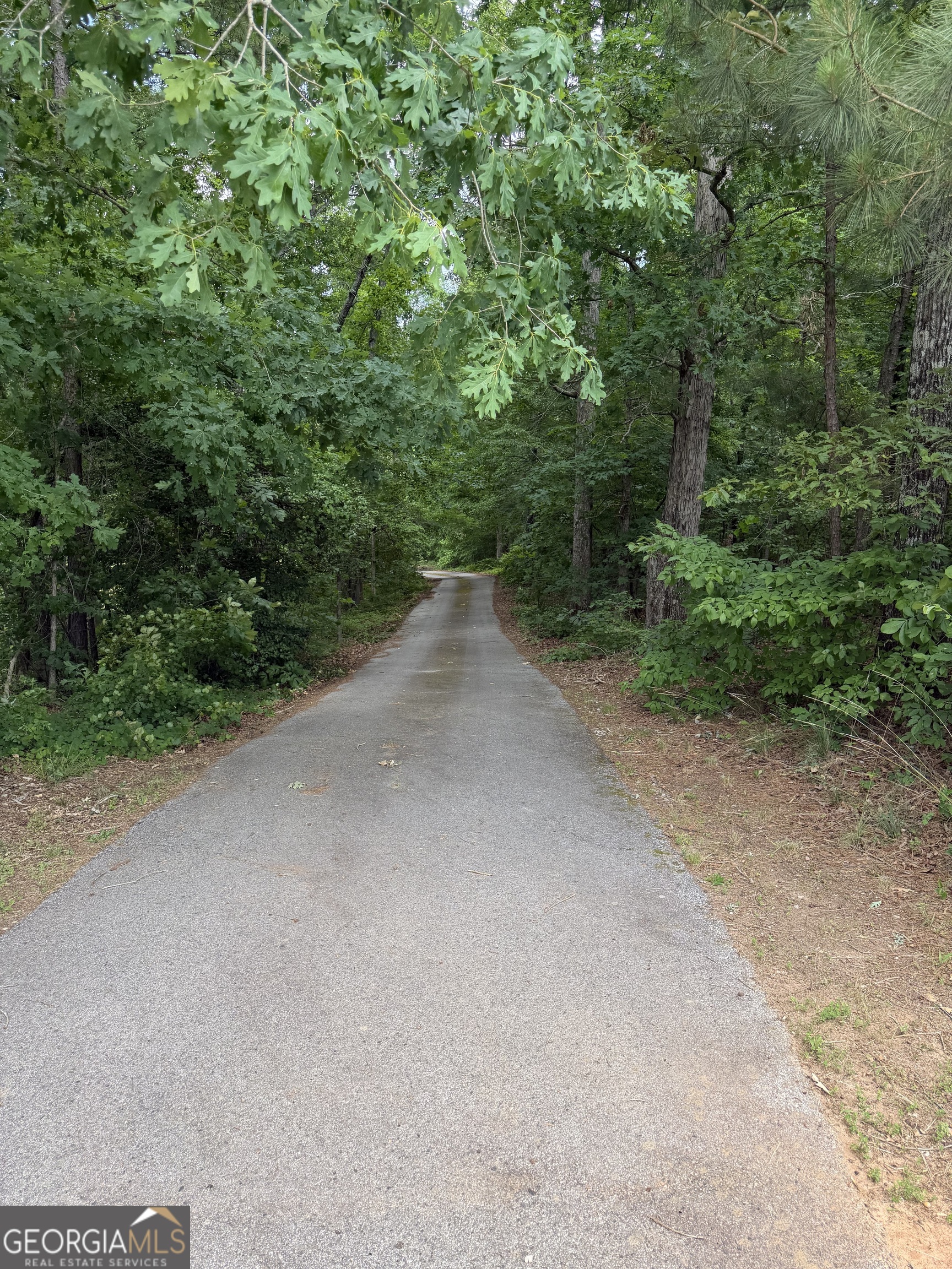 302 Norris Road Barnesville, GA 30204 - Photo 9 of 65 a view of a dirt road with trees in the background