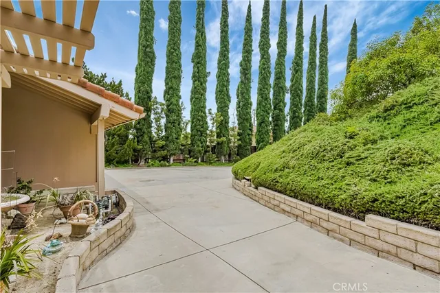 a view of a backyard with plants