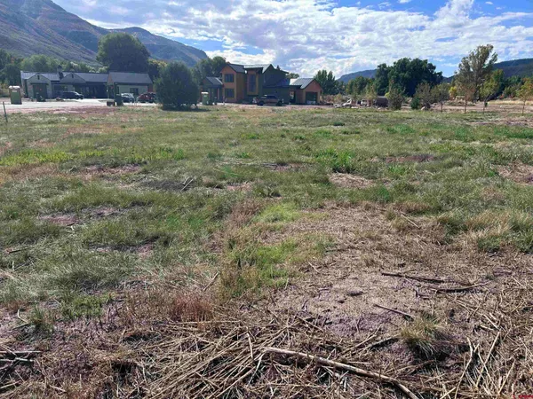 a view of a yard with a house