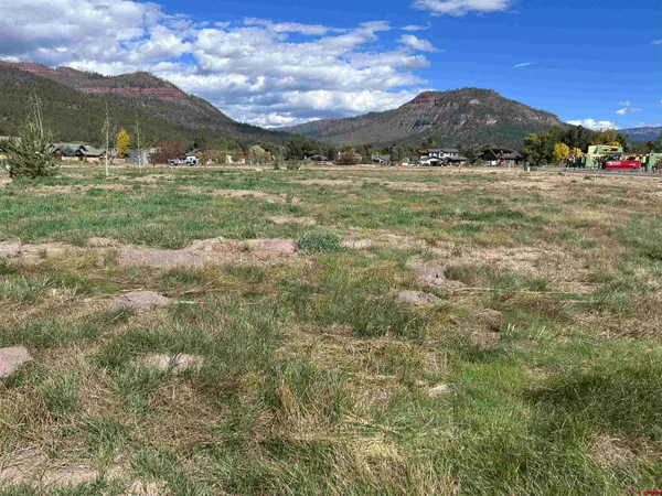 a view of grassy field with mountain