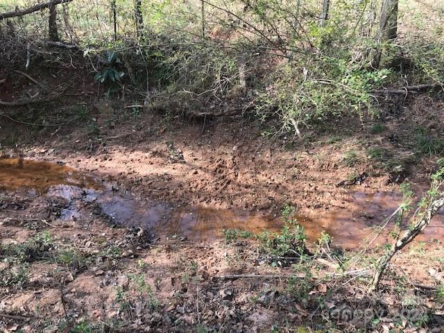 0 Woodstock Lane Rutherfordton, NC 28139 - Photo 2 of 10