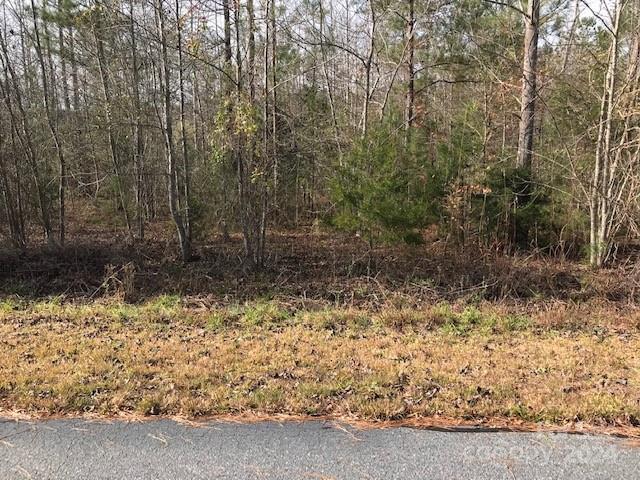 0 Woodstock Lane Rutherfordton, NC 28139 - Photo 4 of 10