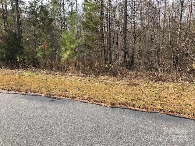 $32,000 | 0 Woodstock Lane, Rutherfordton, NC 28139