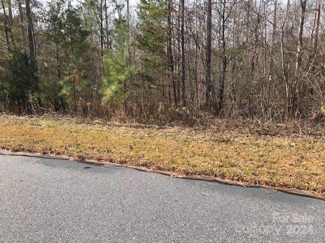 0 Woodstock Lane Rutherfordton, NC 28139 - Photo 5 of 10