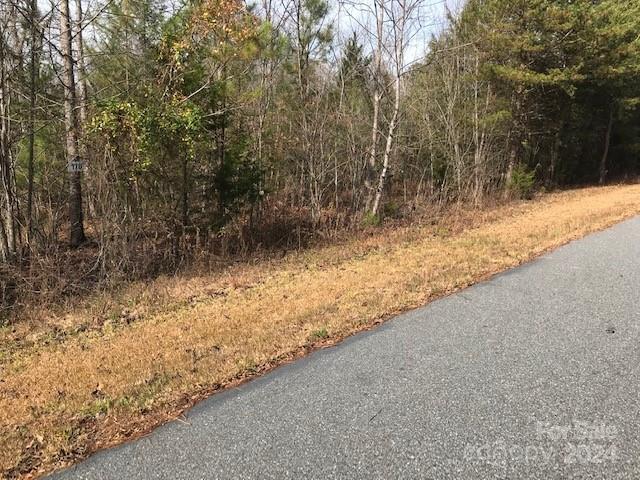 0 Woodstock Lane Rutherfordton, NC 28139 - Photo 6 of 10