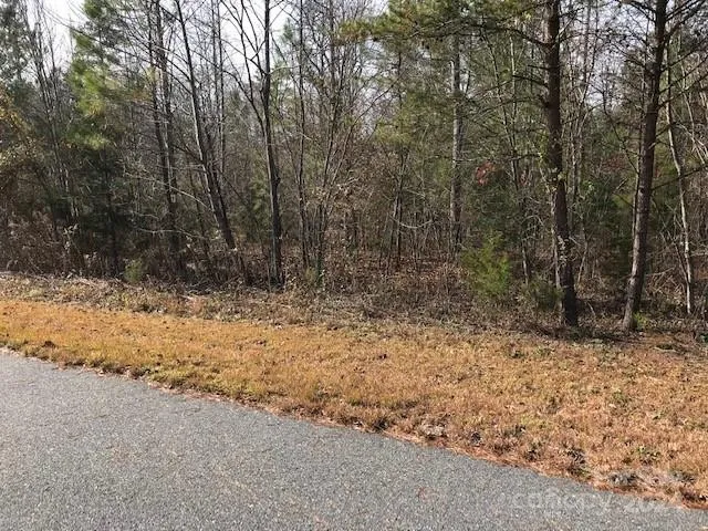 $32,000 | 0 Woodstock Lane, Rutherfordton, NC 28139