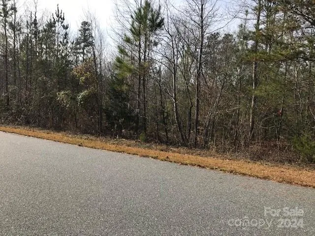 $32,000 | 0 Woodstock Lane, Rutherfordton, NC 28139