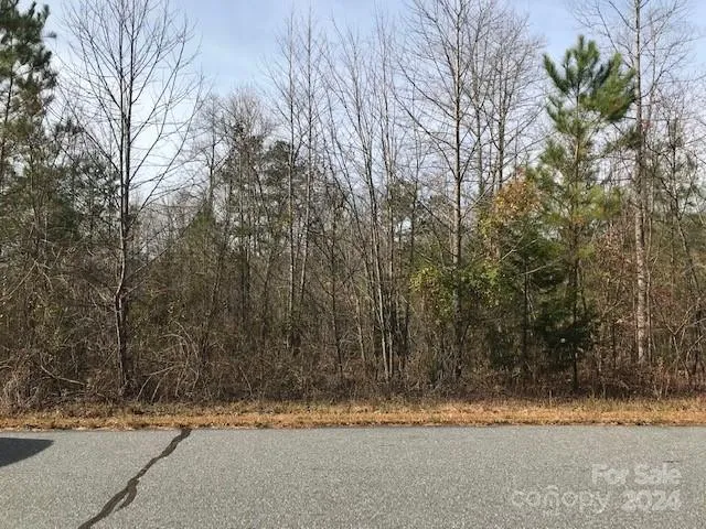 $32,000 | 0 Woodstock Lane, Rutherfordton, NC 28139