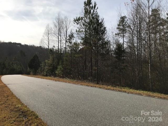 0 Woodstock Lane Rutherfordton, NC 28139 - Photo 10 of 10