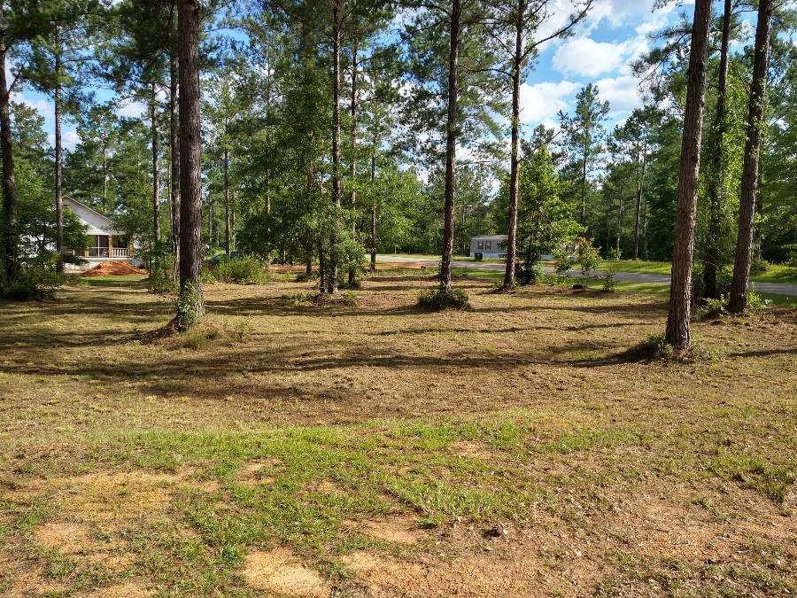 50972 Dyas Road Bay Minette, AL 36507 - Photo 4 of 7