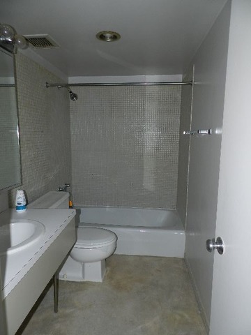 175 East Delaware Place, Unit 7109 Chicago, IL 60611 - Photo 11 of 14 a bathroom with a shower and a toilet
