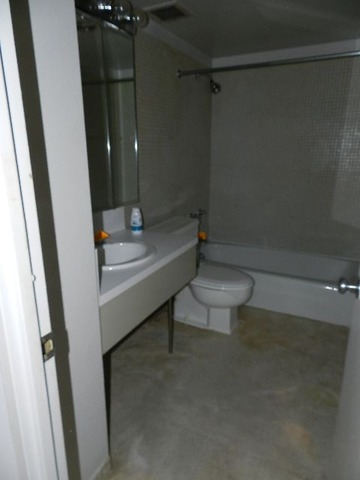 175 East Delaware Place, Unit 7109 Chicago, IL 60611 - Photo 7 of 14 a bathroom with a sink a toilet a mirror and vanity