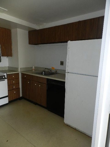 175 East Delaware Place, Unit 7109 Chicago, IL 60611 - Photo 8 of 14 a kitchen with a refrigerator and a sink