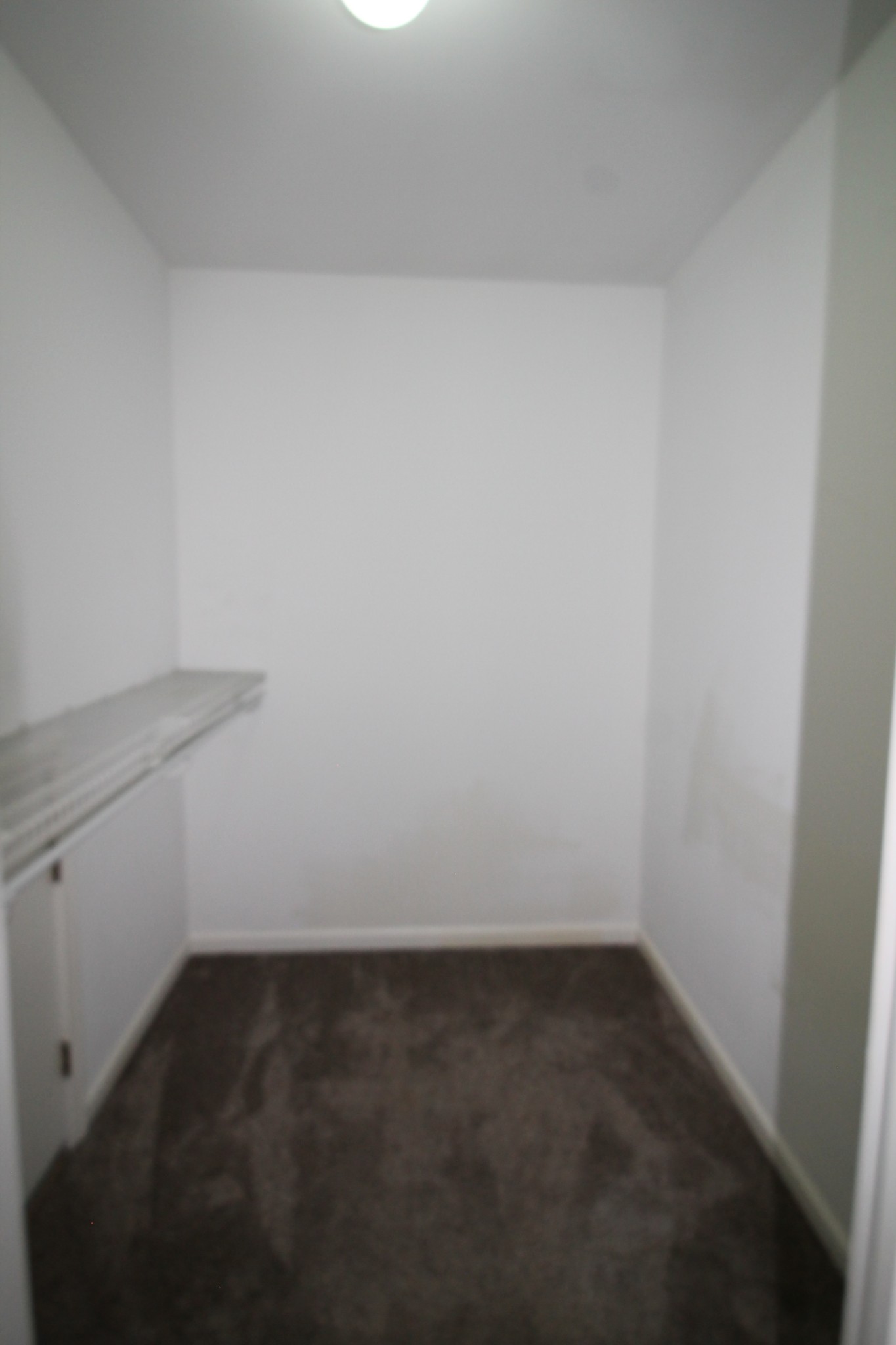 910 Eli Road Bon Aqua, TN 37025 - Photo 21 of 35 Gallery Image 21