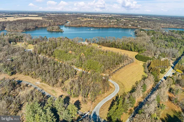 a view of yard with large trees