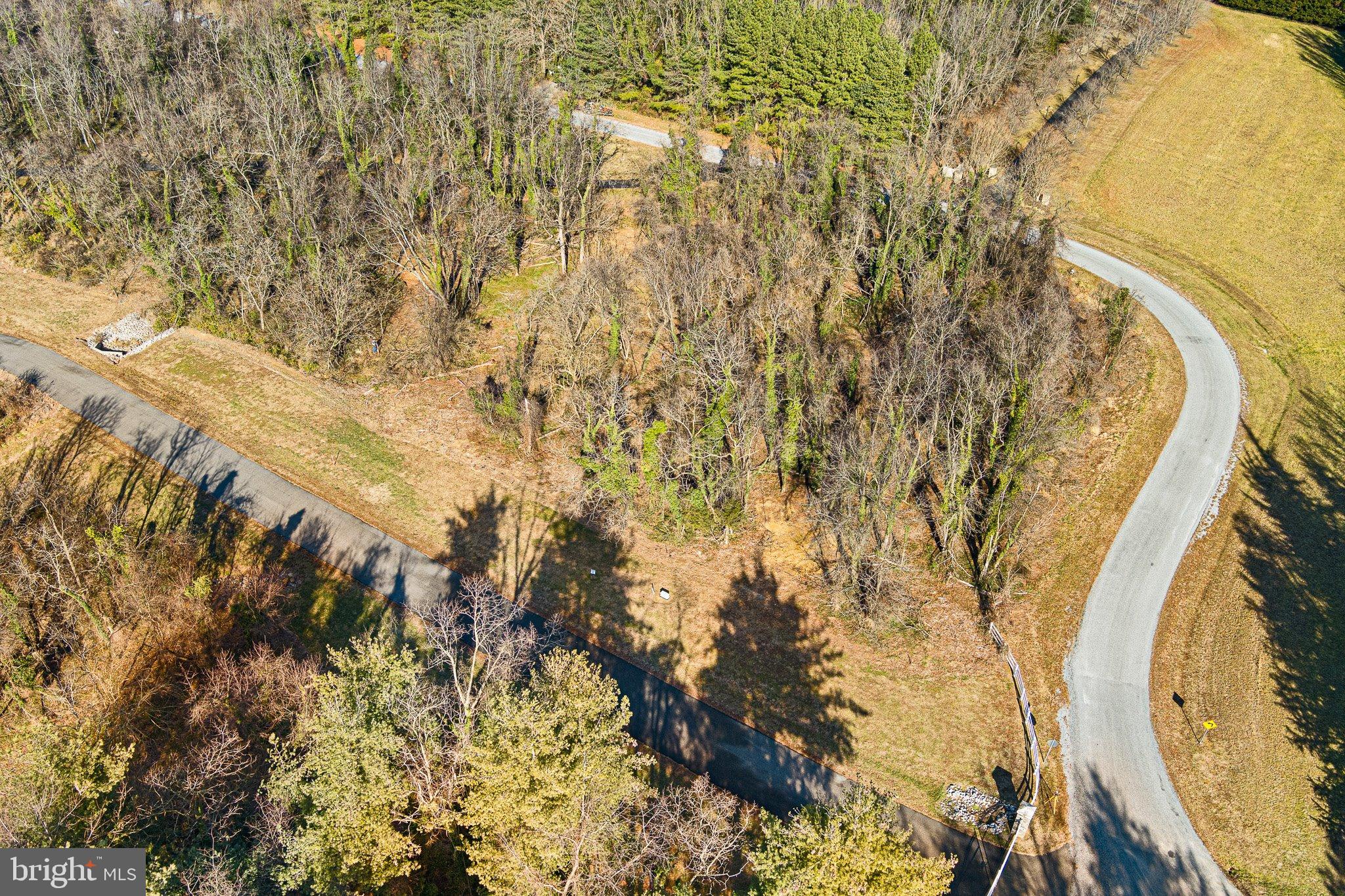 2 Sassafras Cove Road Galena, MD 21635 - Photo 9 of 16 Beautiful corner lot