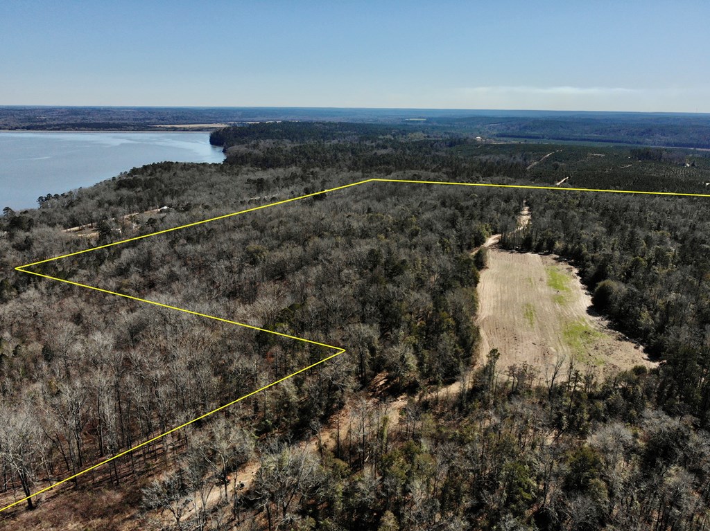 0 County Road 97 Abbeville, AL 36310 - Photo 14 of 53