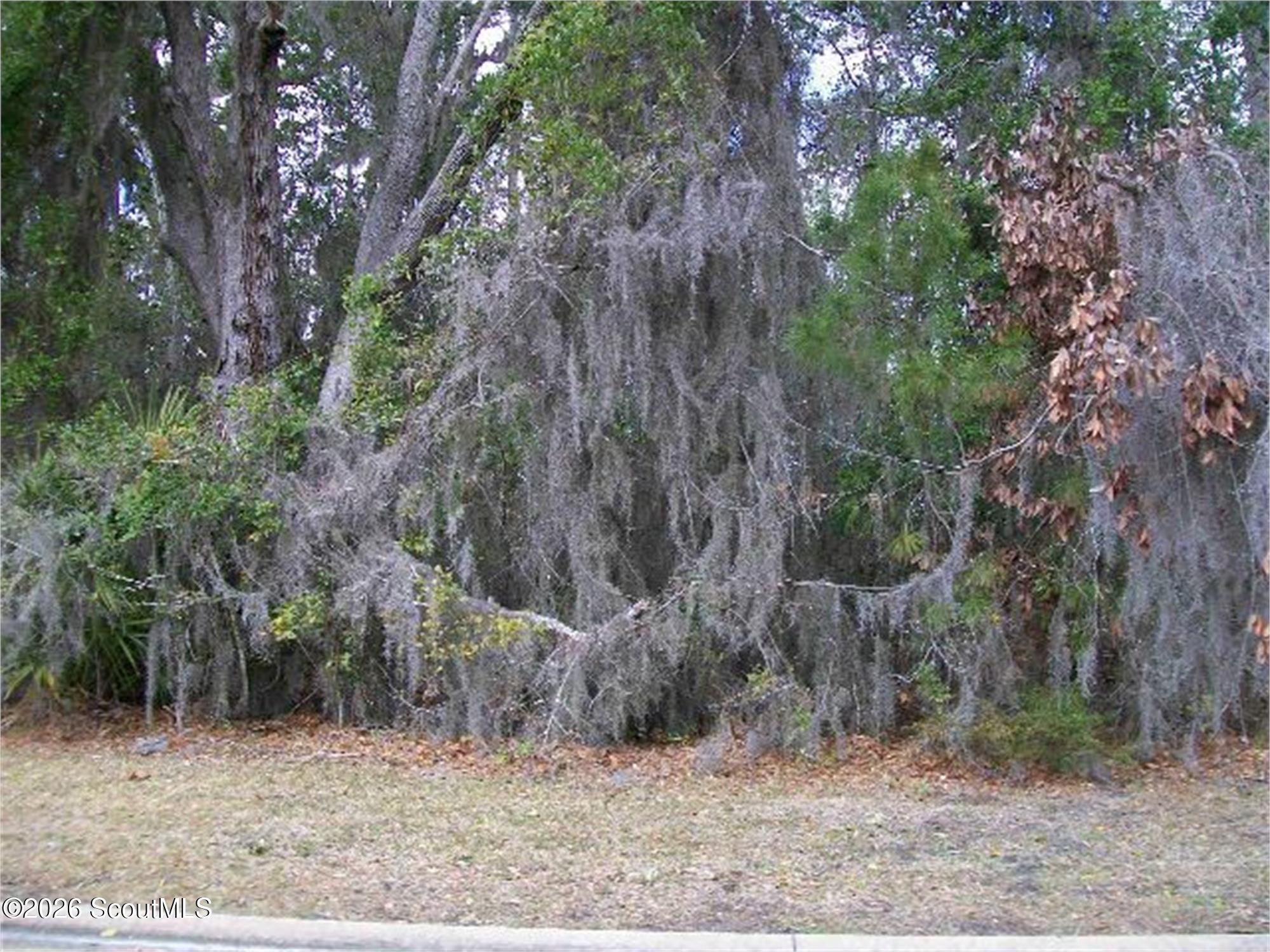 947 Champney St. Simons Island, GA 31522 - Photo 1 of 1 Street View