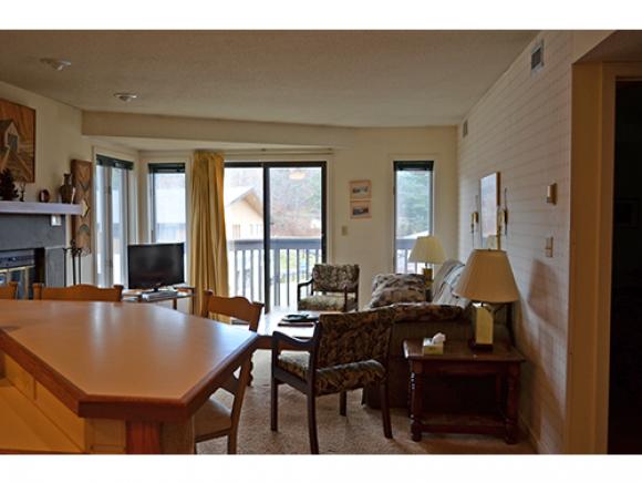 318 Mountain Road, Unit A303 Ludlow, VT 05149 - Photo 2 of 13 Gallery Image 2