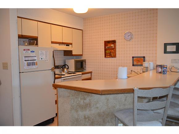318 Mountain Road, Unit A303 Ludlow, VT 05149 - Photo 3 of 13 Gallery Image 3