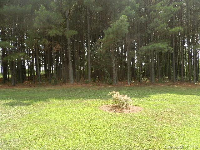 7324 Reeps Grove Church Road Vale, NC 28168 - Photo 23 of 24 Gallery Image 23