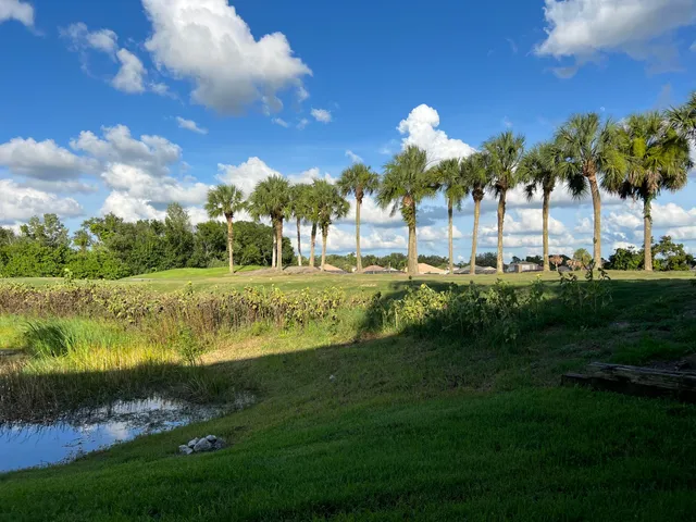 a view of a lake and a yard