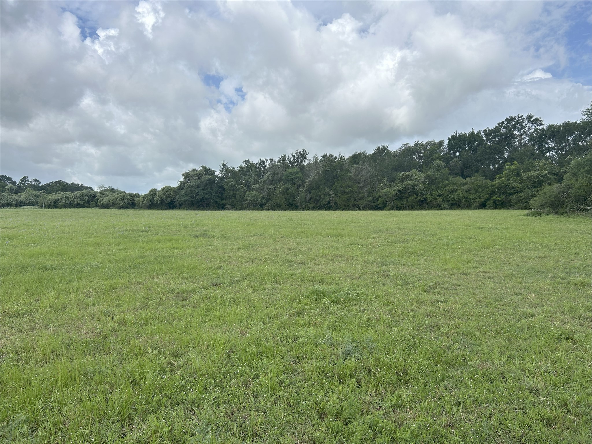 Tbd Holik Road Hempstead, TX 77445 - Photo 30 of 50