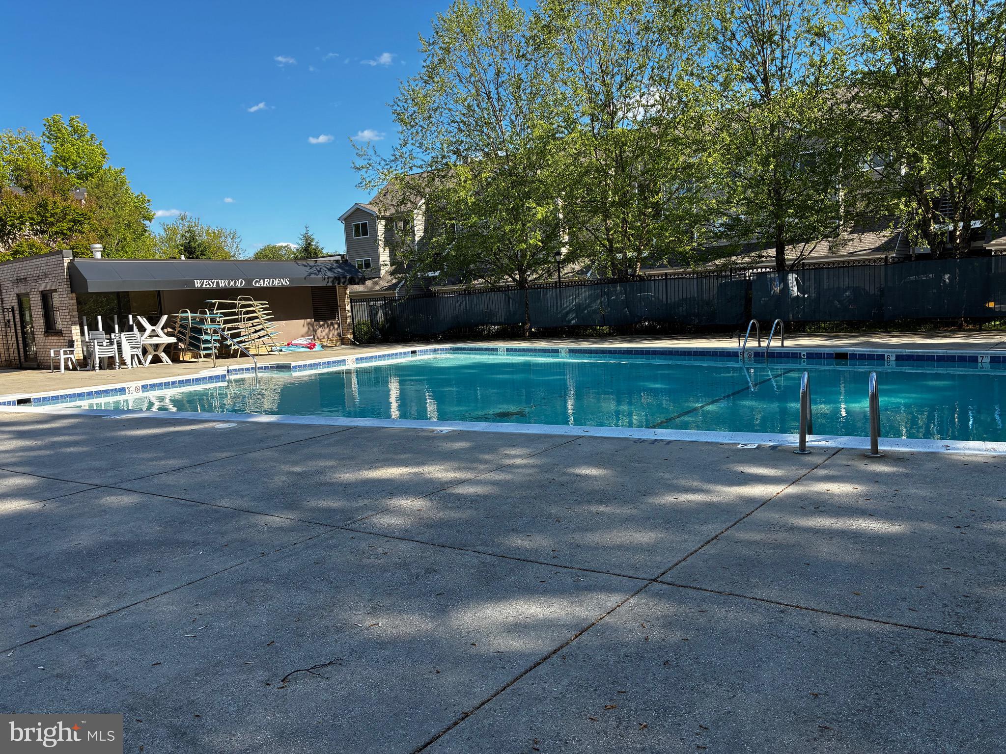 10862 Bucknell Drive, Unit 301 Silver Spring, MD 20902 - Photo 27 of 28 a view of backyard with large trees and plants