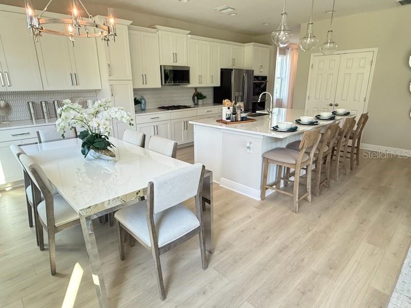 5288 Obsidian Gate Road Mount Dora, FL 32757 - Photo 5 of 25 Gallery Image 5