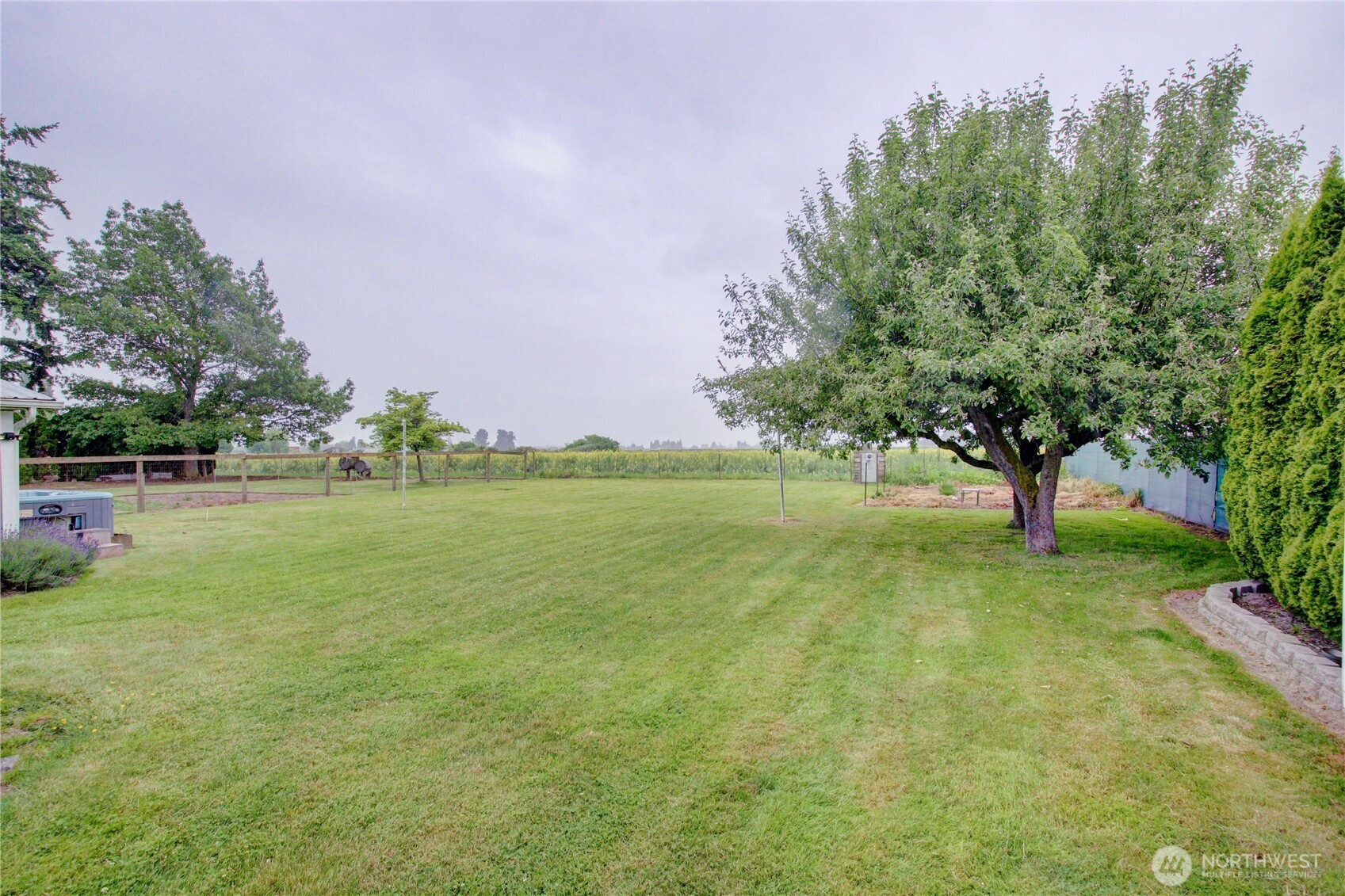 13168 Avon Allen Road Mount Vernon, WA 98273 - Photo 26 of 34 a view of yard with tree and green space
