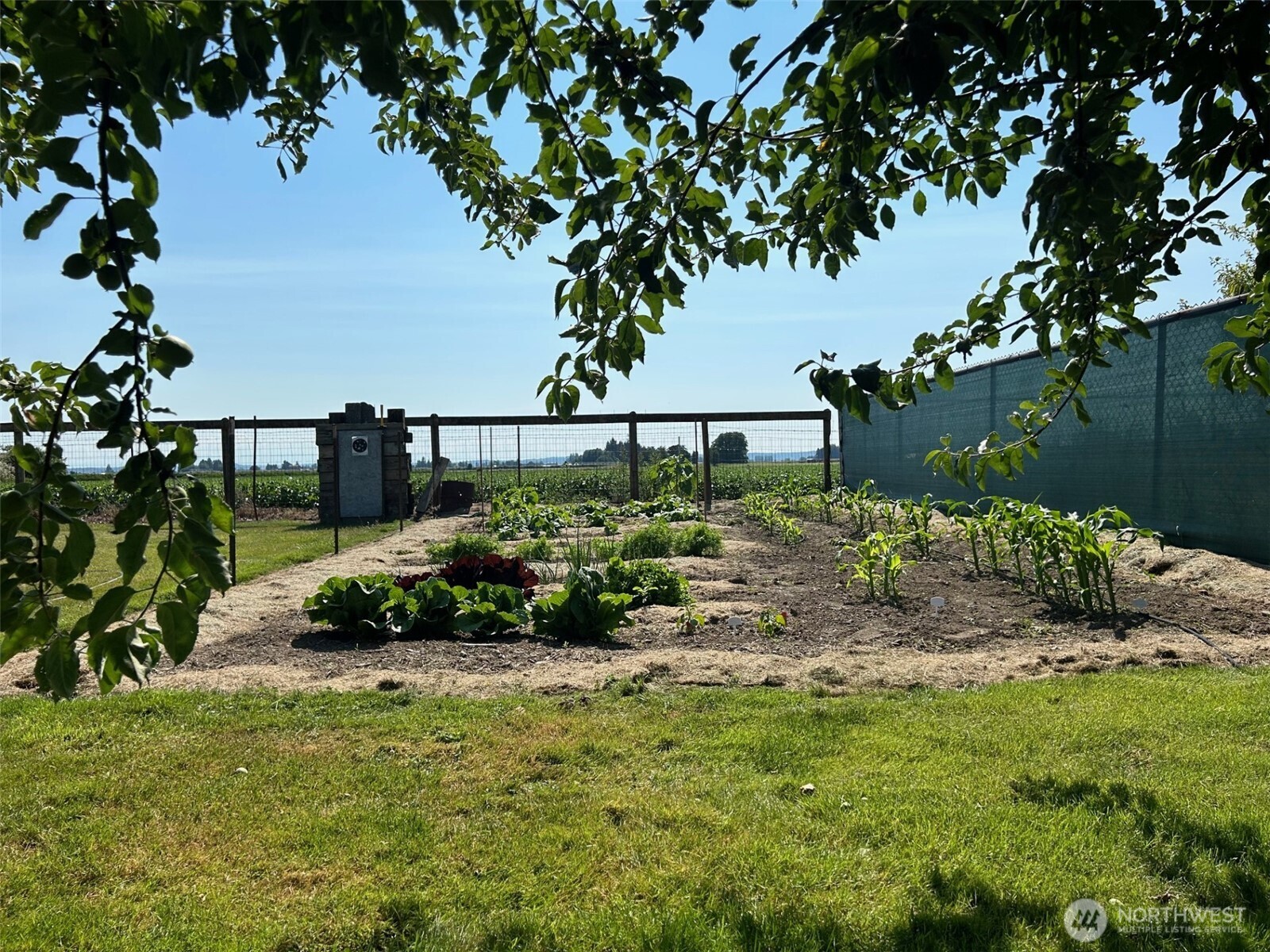 13168 Avon Allen Road Mount Vernon, WA 98273 - Photo 29 of 34 a view of a garden with a bench