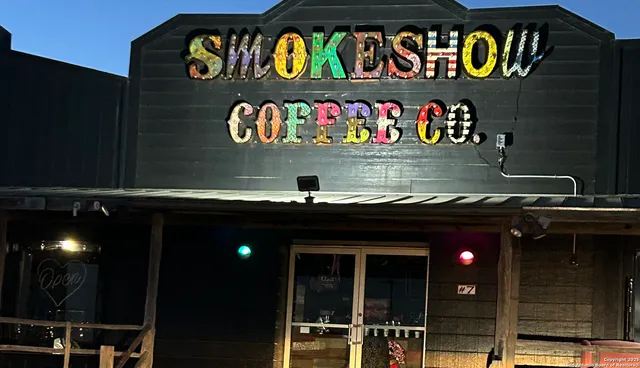 a view of a town with mountains in the background