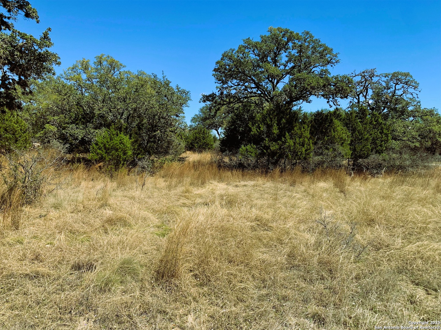 443 Arthur Court Spring Branch, TX 78070 - Photo 4 of 22