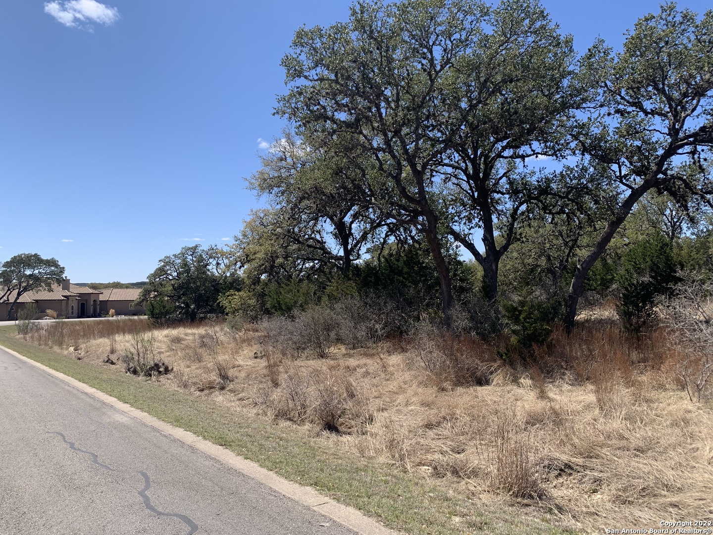 443 Arthur Court Spring Branch, TX 78070 - Photo 7 of 22 a view of a yard with a tree