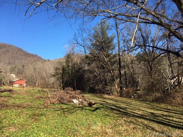 99999 Patton Cemetery Road Swannanoa, NC 28778 - Photo 3 of 7 Gallery Image 3