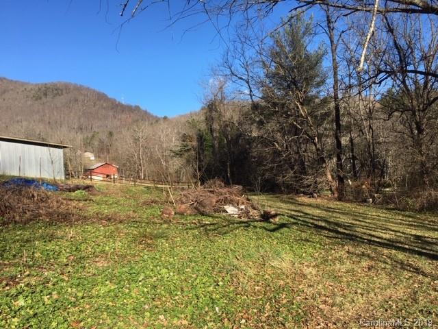 99999 Patton Cemetery Road Swannanoa, NC 28778 - Photo 4 of 7 Gallery Image 4