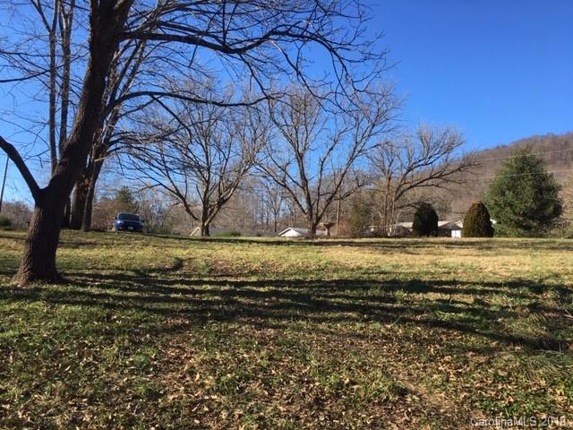 99999 Patton Cemetery Road Swannanoa, NC 28778 - Photo 5 of 7 Gallery Image 5